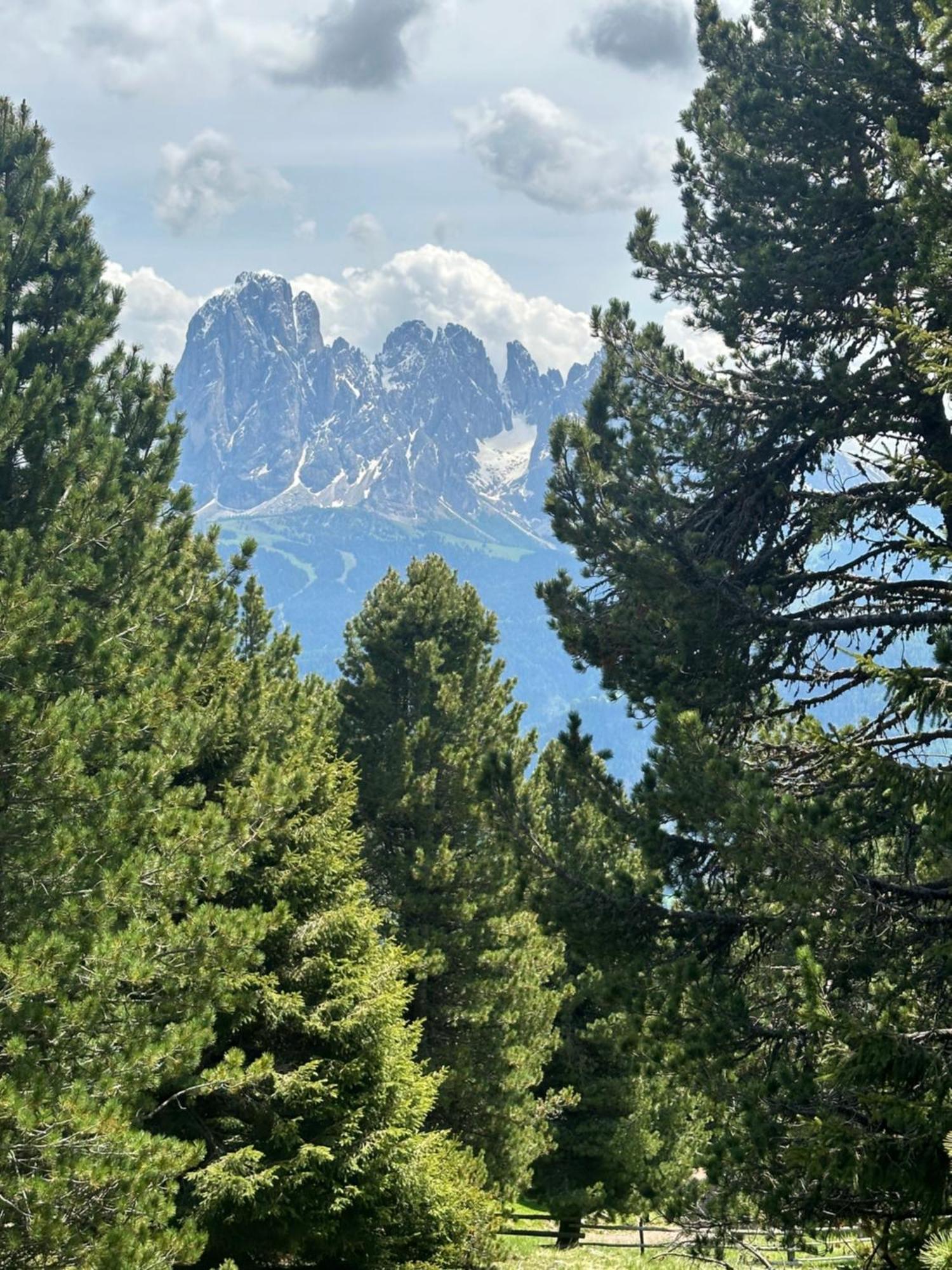 أورتيسايْ Chalet Da Mont Resciesa المظهر الخارجي الصورة