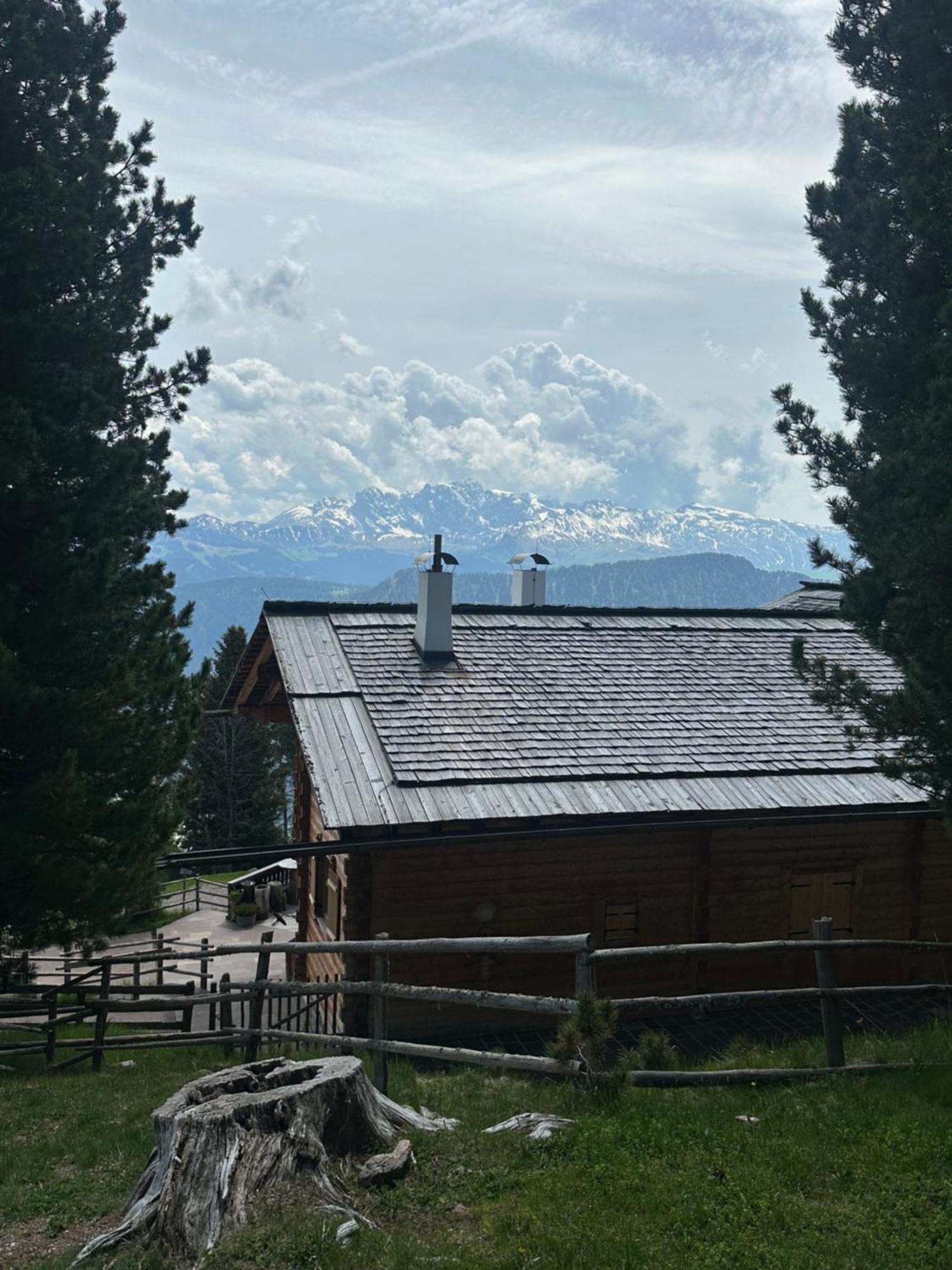 أورتيسايْ Chalet Da Mont Resciesa المظهر الخارجي الصورة