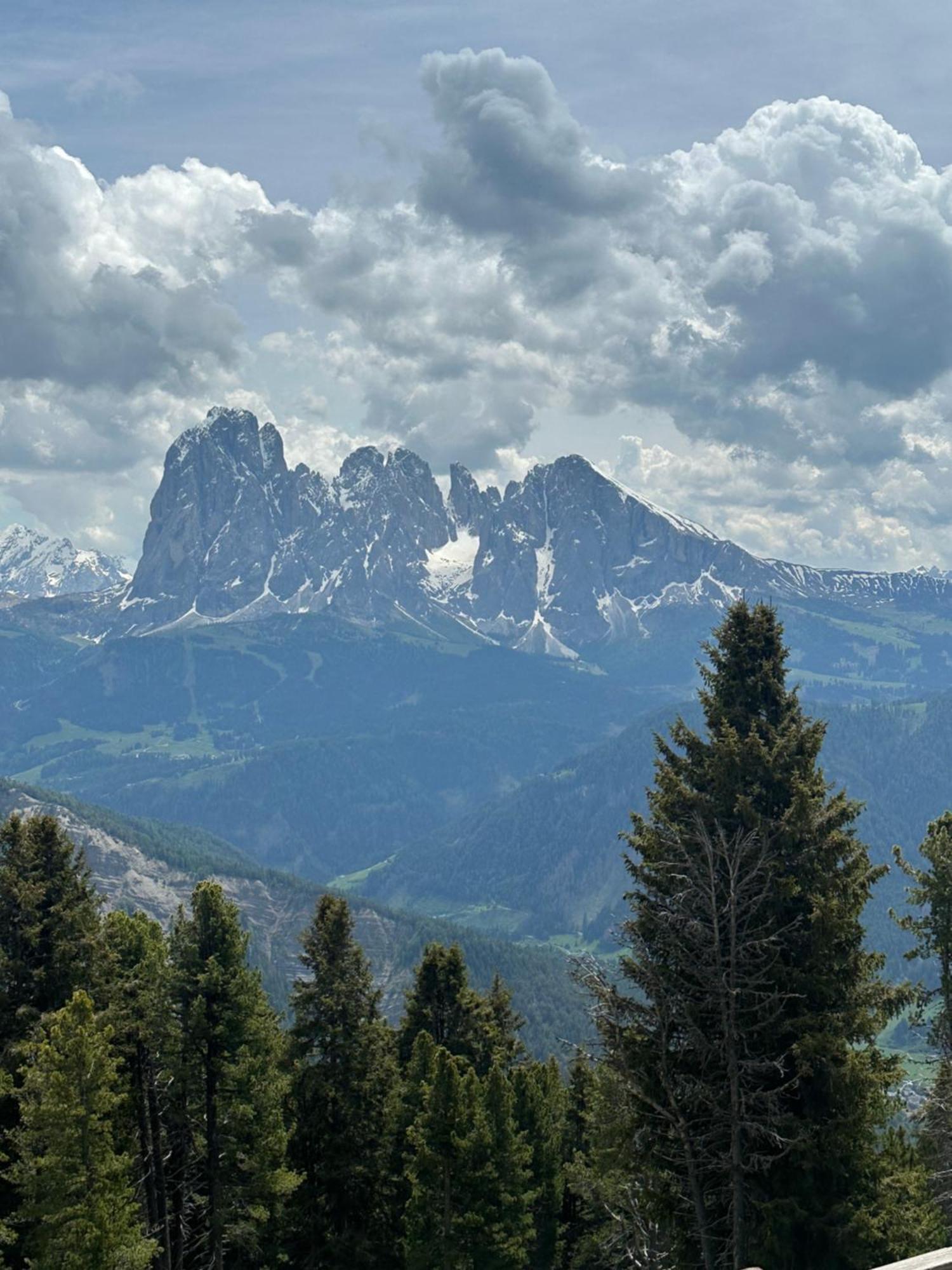 أورتيسايْ Chalet Da Mont Resciesa المظهر الخارجي الصورة